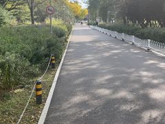-望湖公园