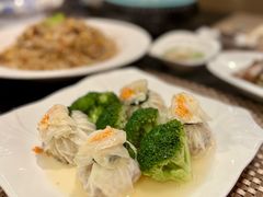 -金燕岛潮州酒楼