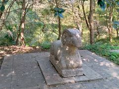 -紫金山山顶公园