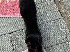 -小狗面馆(复兴店)