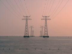 -宝安西湾红树林湿地公园