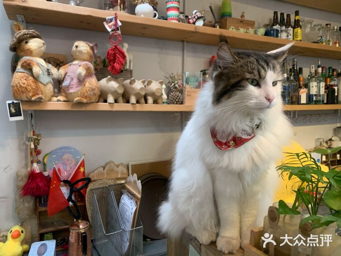 小时光咖啡馆(北锣鼓巷店)图片