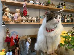 -小时光咖啡馆(北锣鼓巷店)