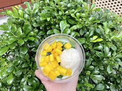 -奈雪的茶(赛格店)
