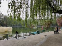 -莲湖公园