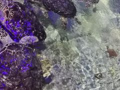 -福州罗源湾海洋世界旅游区