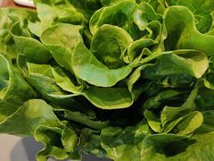 -创味·民间海南菜·非遗藤桥排骨(藤桥·免税城店)