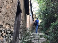 -杨家堂村