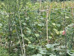 -凤来栖·净庭院·火锅(欧尚店)