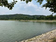 -羊山湖公园
