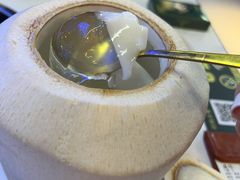 招牌双层椰子冻-张猫猫爱吃鱼