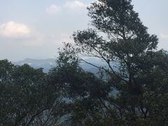-广州市帽峰山景区