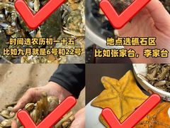 -巧克力渔家.小船海鲜胶东菜(万平口店)