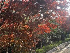 -南京市江宁方山