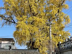 -太平禅寺