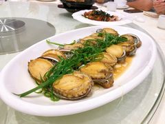 清蒸大连鲍半打-金翠皇宫粤菜·点心·海鲜(科技园店)