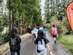 -前小桔亲子创意农场·草莓采摘·露营烧烤
