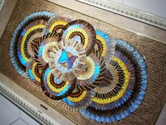 -上海昆虫博物馆