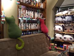 -猫咪博物馆(顶澳仔猫街店)