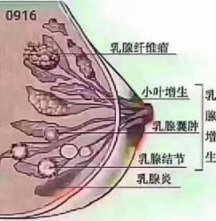 点击看大图 -香薇妮丝女子减肥院