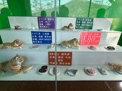 -横道河子东北虎林园
