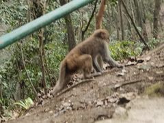 -黔灵山公园