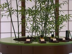 -龙湖杭州滨江天街