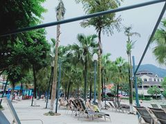 -重庆海昌加勒比海水世界