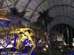 -辽宁古生物博物馆
