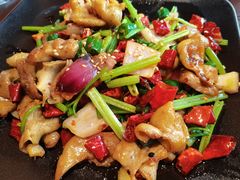 -成都娃娃花园餐厅(河西旗舰店)