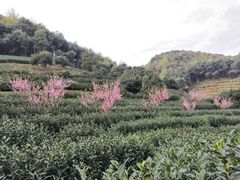 -天地生态农庄