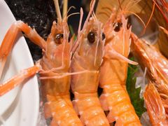 -Mr·Fish鱼鲜生海鲜放题(银泰in99店)