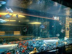 -碧涛阁·泡泡海洋·汤泉洗浴(王府花园店)