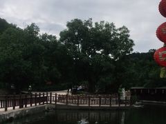 -山叶口景区