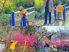 -桃源山庄·水蜜桃采摘·柴火鸡·烧烤团建(龙泉山店)