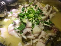 -严厨老坛酸菜鱼(吴江万宝店)