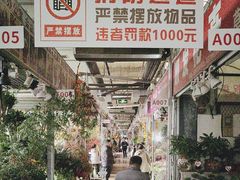 -朝来春花卉市场