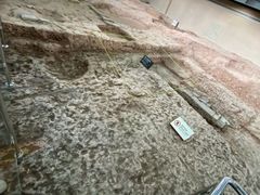 -南越王博物院(王宫展区)
