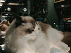 -咖法森林·咖啡  酒吧(天河店)