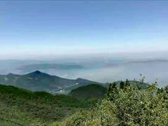 -武陵山森林公园