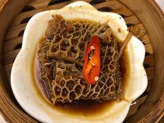 瑶柱金钱肚-潮福城大酒楼(北尚店)