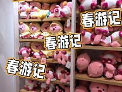 -上海浦江郊野公园·1号停车场