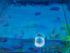 -大玩家(通州万达广场店)