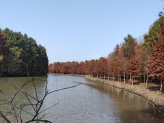 -上海海湾国家森林公园