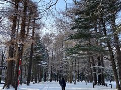 -北海道神宫