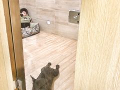 -Double Rui宠物酒店