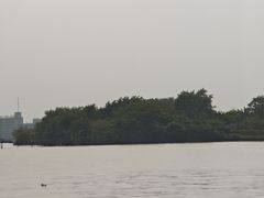 -鱼珠码头(轮渡站)