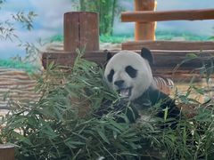 -西霞口神雕山野生动物世界