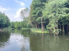 -尚湖风景区