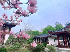-堤角公园
